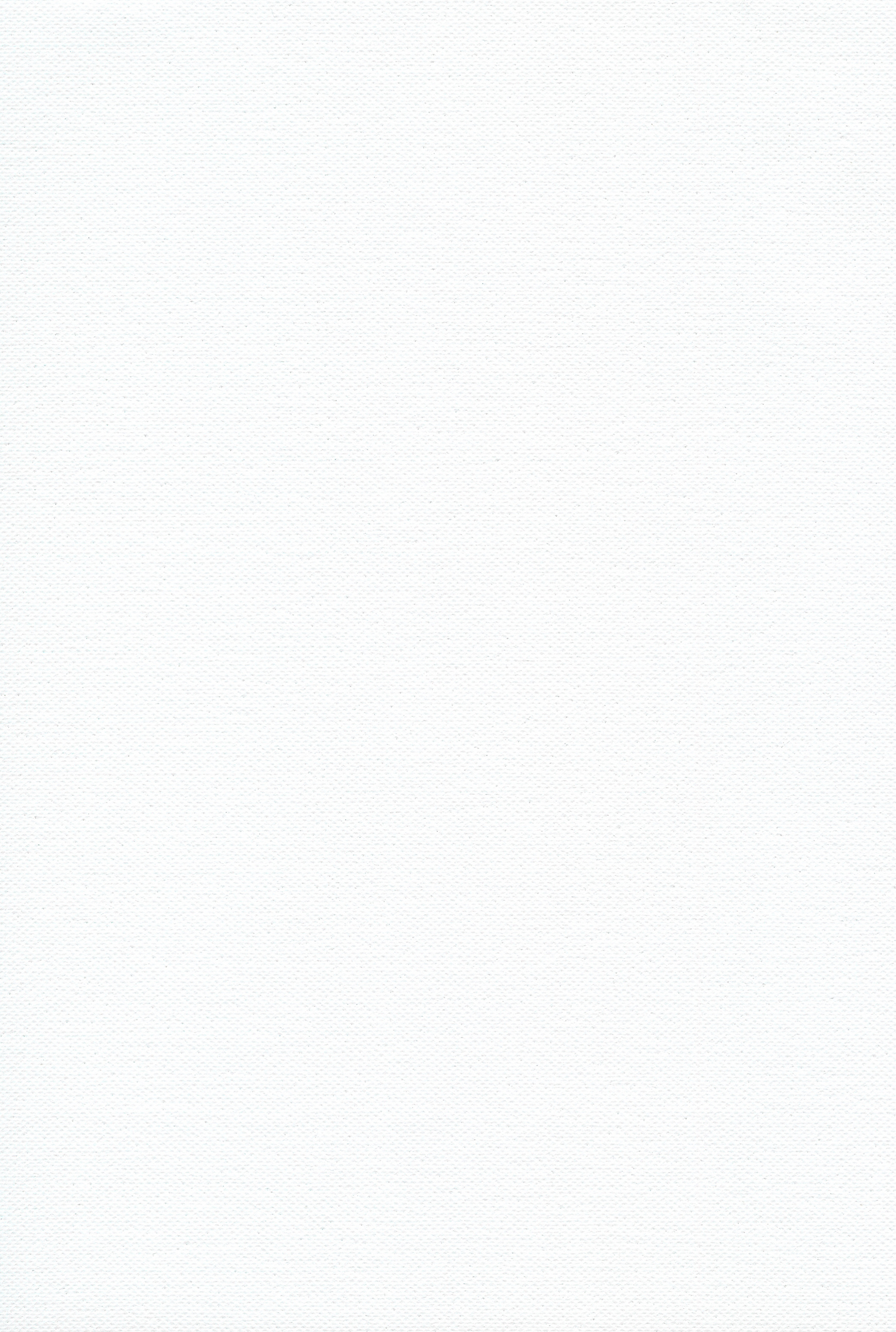 White Textured Canvas